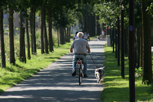 cycling